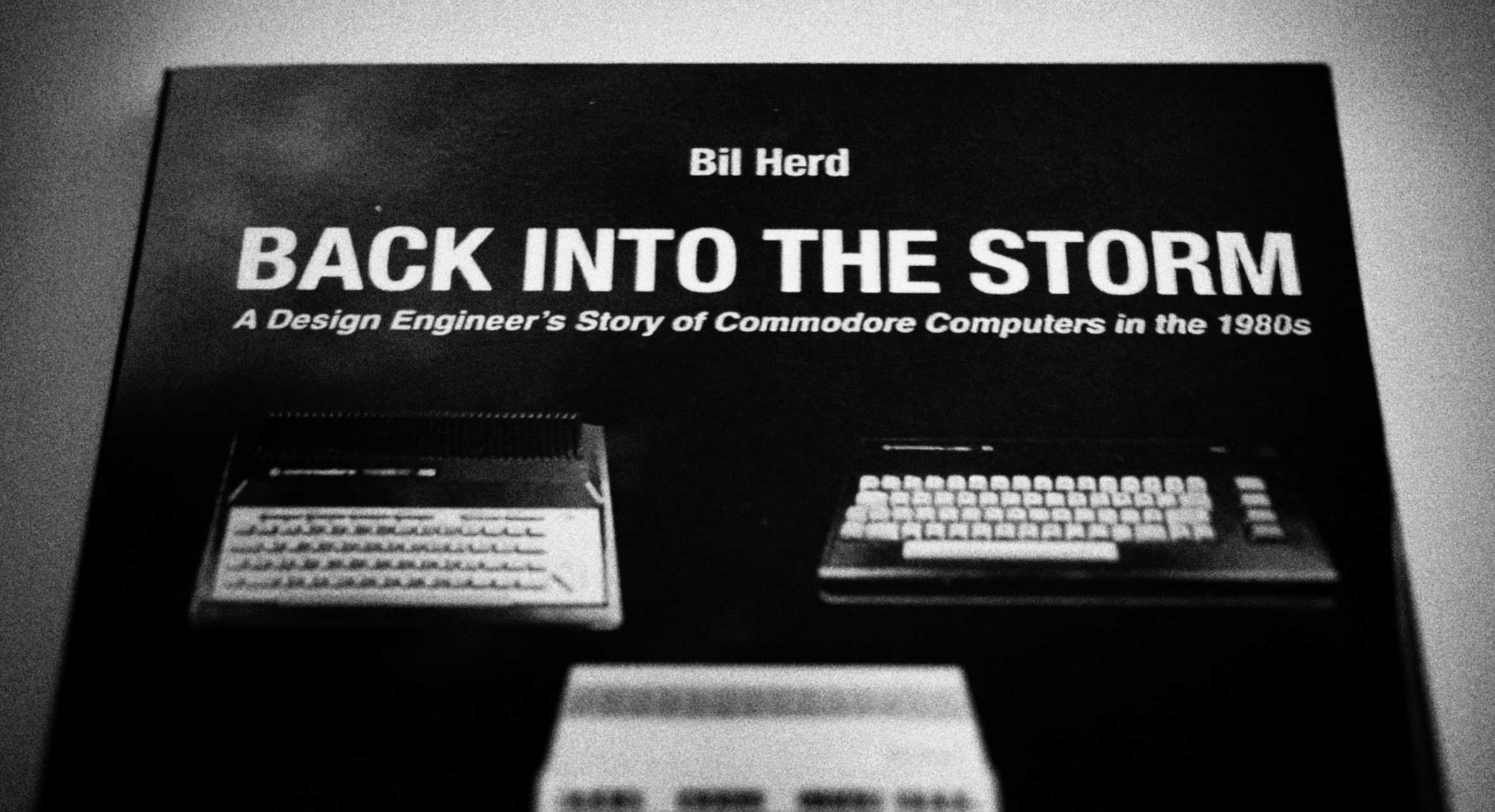 “Back into the storm” – di Bil Herd